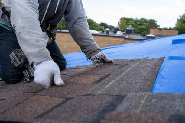 Best Residential Roof Replacement  in Galena, KS